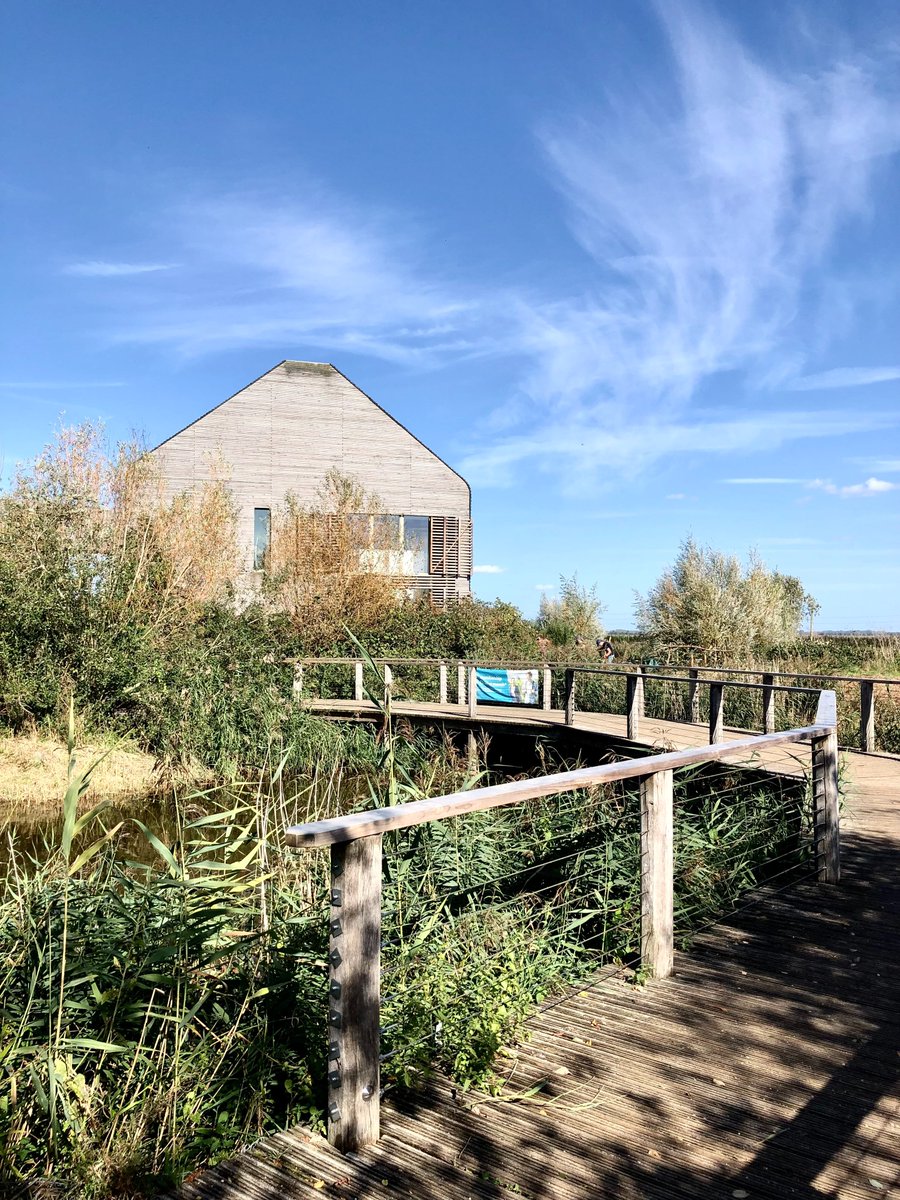NewLifeOldWest's tweet photo. We had a fantastic tour of Lady Fen @WWTWelney this week 🌞 As part of #ProjectGodwit, black-tailed godwit chicks are being raised in pens, such as that shown in the photo, to help boost breeding success in the Fens 🐣

Read more here: https://t.co/NClEPzYHaX https://t.co/EWCZjND5U6
