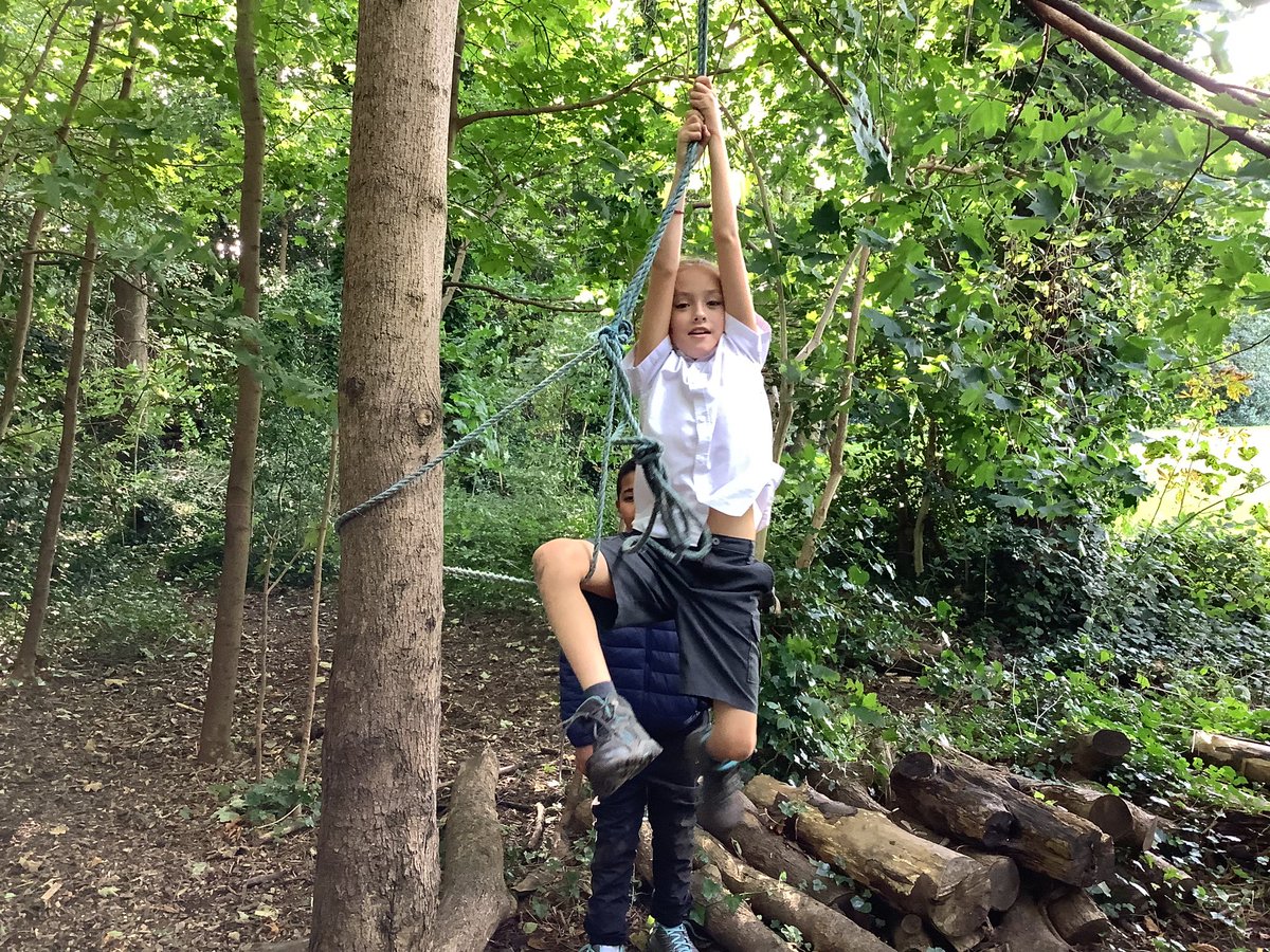 Tyntesfield_MS's tweet photo. @TyntesfieldMS tree monkeys in the woods. https://t.co/hsAR8hLl1M