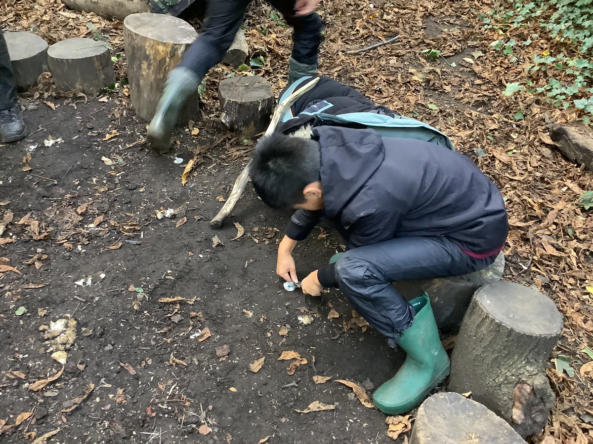 Tyntesfield_MS's tweet photo. @TyntesfieldMS teamwork and perseverance in the woods! https://t.co/5HaGPLGJo2