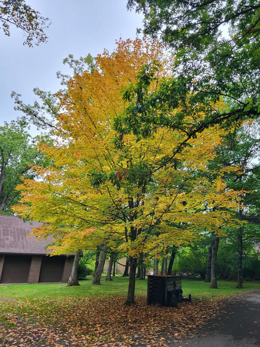 Maryland DNR tweet media