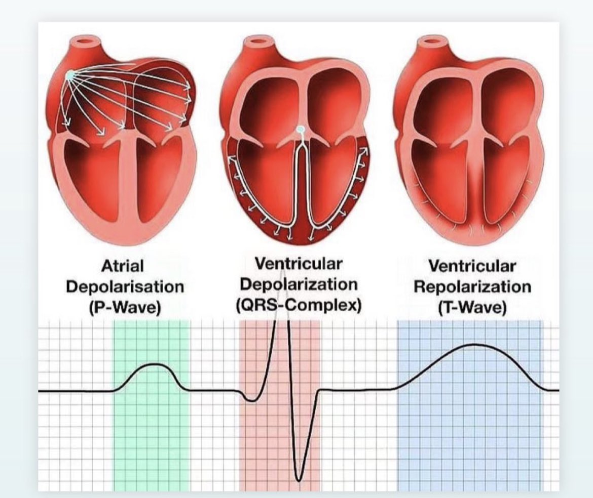 ♀️Creative Dental Scholar❤ (@fcdsgroup) on Twitter photo  ♀️Creative Dental Scholar❤ (@fcdsgroup) on Twitter photo