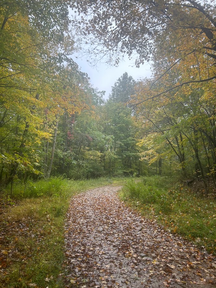 Maryland DNR tweet media