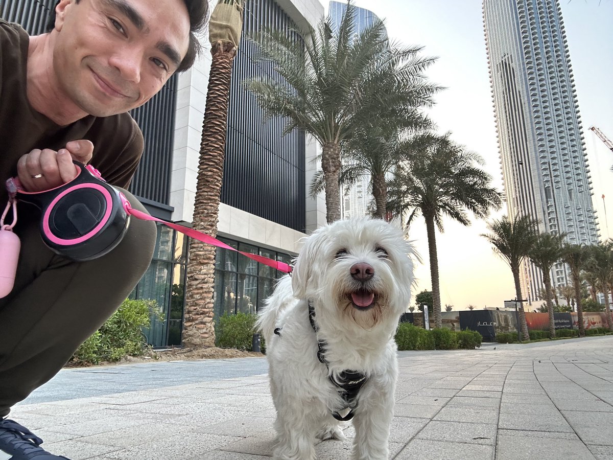 Alex Scott tweet media