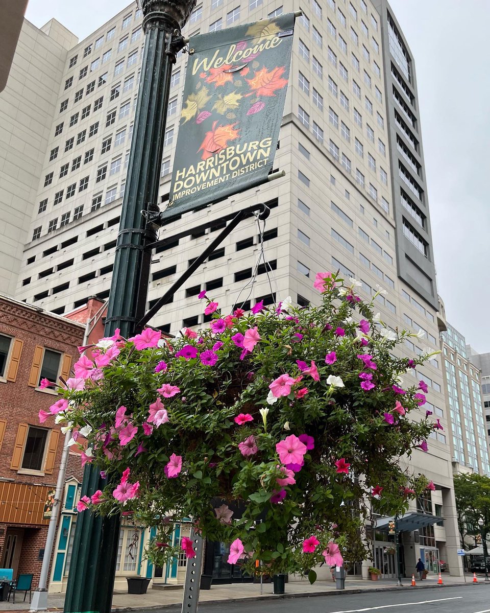 Harrisburg Downtown Improvement District (DID) (@harrisburgdid) on Twitter photo Definitely starting to look and feel like fall here in downtown #HarrisburgPA! 🍂 <a href="/CafeFrescoCC/">Cafe Fresco</a> has gotten their pumpkin spice on, and our seasonal welcome banners are up! 🎃
There’s a slight chill to the air - warm up with a cozy latte from Café Fresco for #NationalCoffeeDay! ☕️ Definitely starting to look and feel like fall here in downtown #HarrisburgPA! 🍂 <a href="/CafeFrescoCC/">Cafe Fresco</a> has gotten their pumpkin spice on, and our seasonal welcome banners are up! 🎃
There’s a slight chill to the air - warm up with a cozy latte from Café Fresco for #NationalCoffeeDay! ☕️