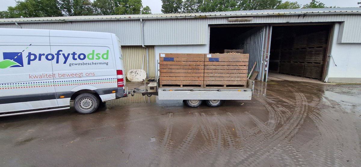 'Ui'tmuntend tweet media