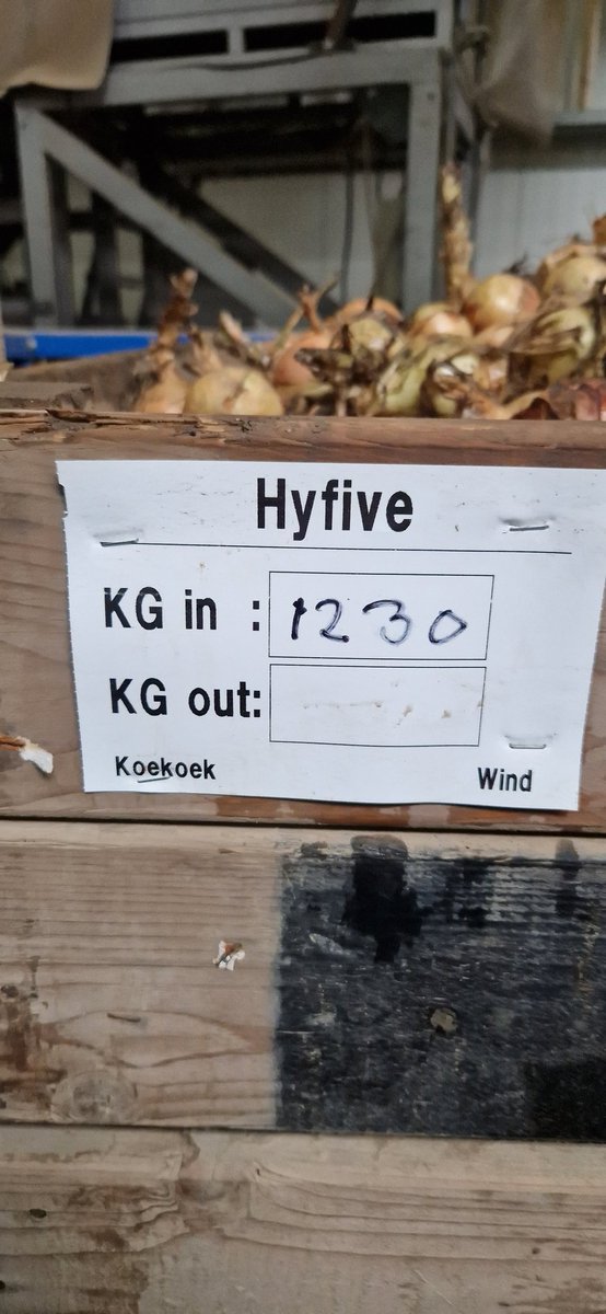 'Ui'tmuntend tweet media