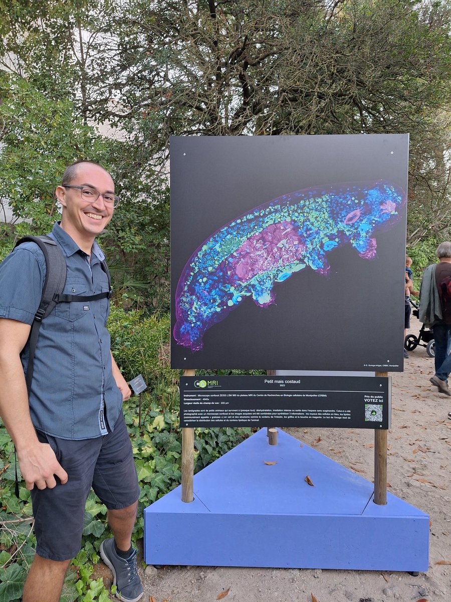 Very happy to share that one of my tardigrade images was selected to be printed and exposed for 1 month in the botanic garden of Montpellier to celebrate the 20th anniversary of the @MRI_Montpellier platform! #tardigrades #scienceoutreach