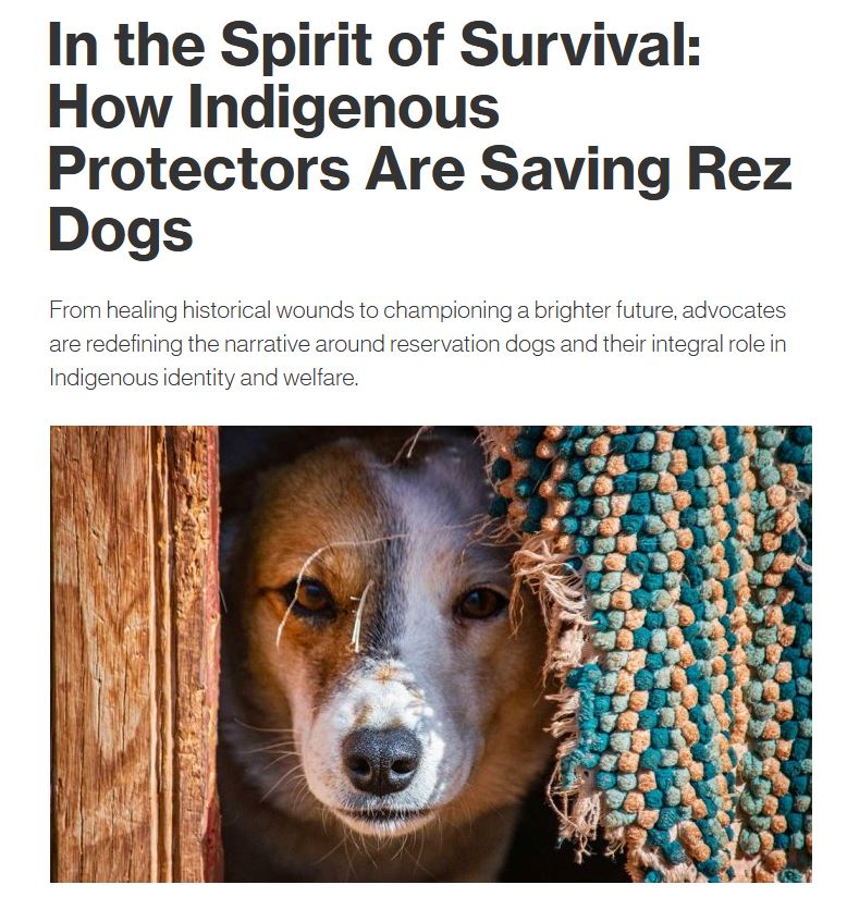 HuronMOS's tweet photo. Wow. A powerful read on Truth and Reconciliation, Indigenous leadership, and humility in animal protection. Thank you to our own @DrKendraCoulter and @mitpress.  https://t.co/9MIHtI4RBT #DefendingAnimals #TruthAndReconciliation #animalwelfare https://t.co/rOJ83rrzGo