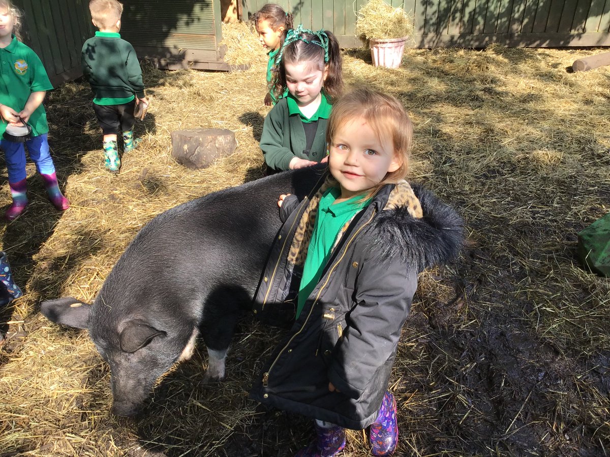 Cygnets_WPA's tweet photo. Nursery had a fantastic afternoon looking after our pigs and playing on the big playground. @WatersidePigs @WatersidePA https://t.co/AzCyEDjGQ6