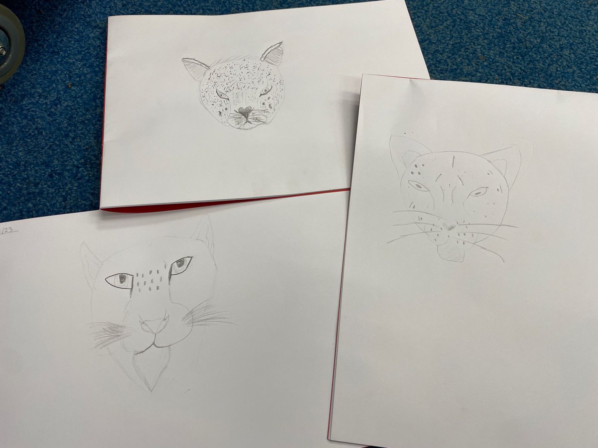 HambrookSchool's tweet photo. #hambrook6 have been exploring primary and secondary sources this week to find out more about life in Ancient Benin. We also practised our sketching skills by create our own leopards, which were very important to the people of Benin. Ask your child the name of the Benin king! https://t.co/FqFYMuQhwH