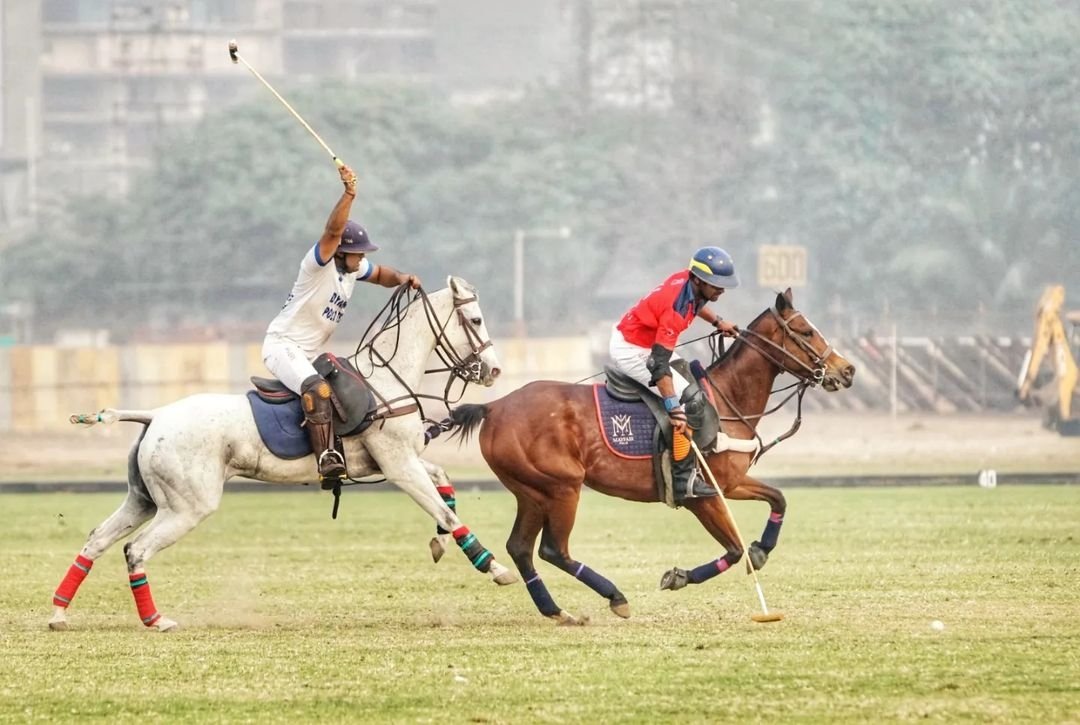 Amateurriders's tweet image. Summoning that weekend energy be like. 🙌😍 #tgifvibes #tgif #tgifridays #weekendvibes .
.
.
 #horse #horserider #equestrian #equine #mumbai #sports #thingstodoinmumbai #events #polo #polosports #behindthescenes #poloplayers #poloplayer #chukker #chukkergame #power #passion