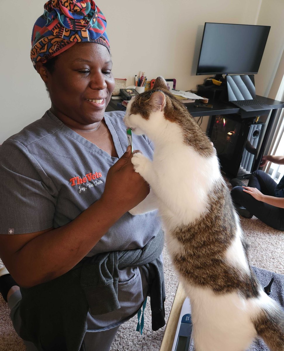 Providing exceptional care, one Churu treat at a time.  👩‍⚕️🐈️