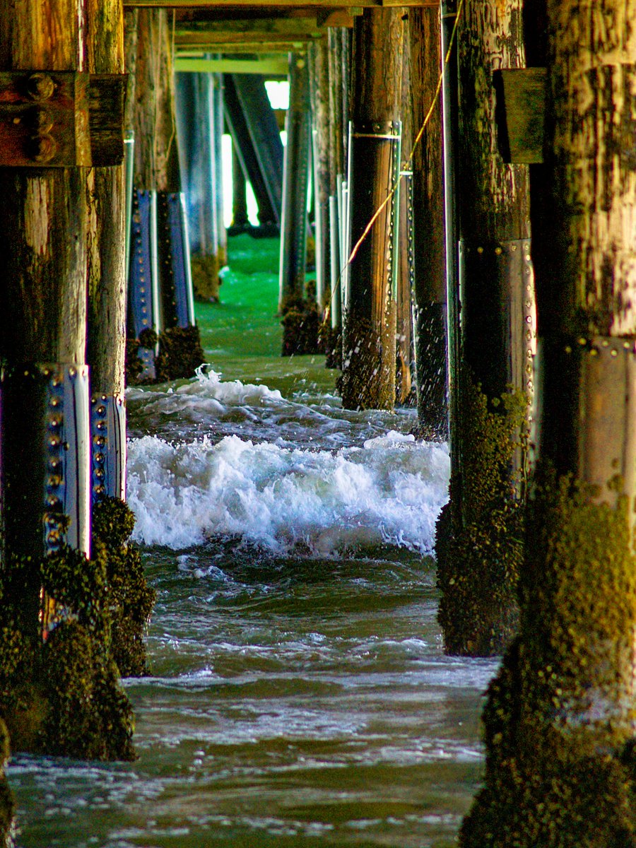 the_gallaghers1's tweet image. Santa Monica Pier
 fineartamerica.com! fineartamerica.com/featured/santa… 
#santamonicapier #billgallagherphotography #santamonica #pier #pacificocean #california #buyintoart #ayearforart