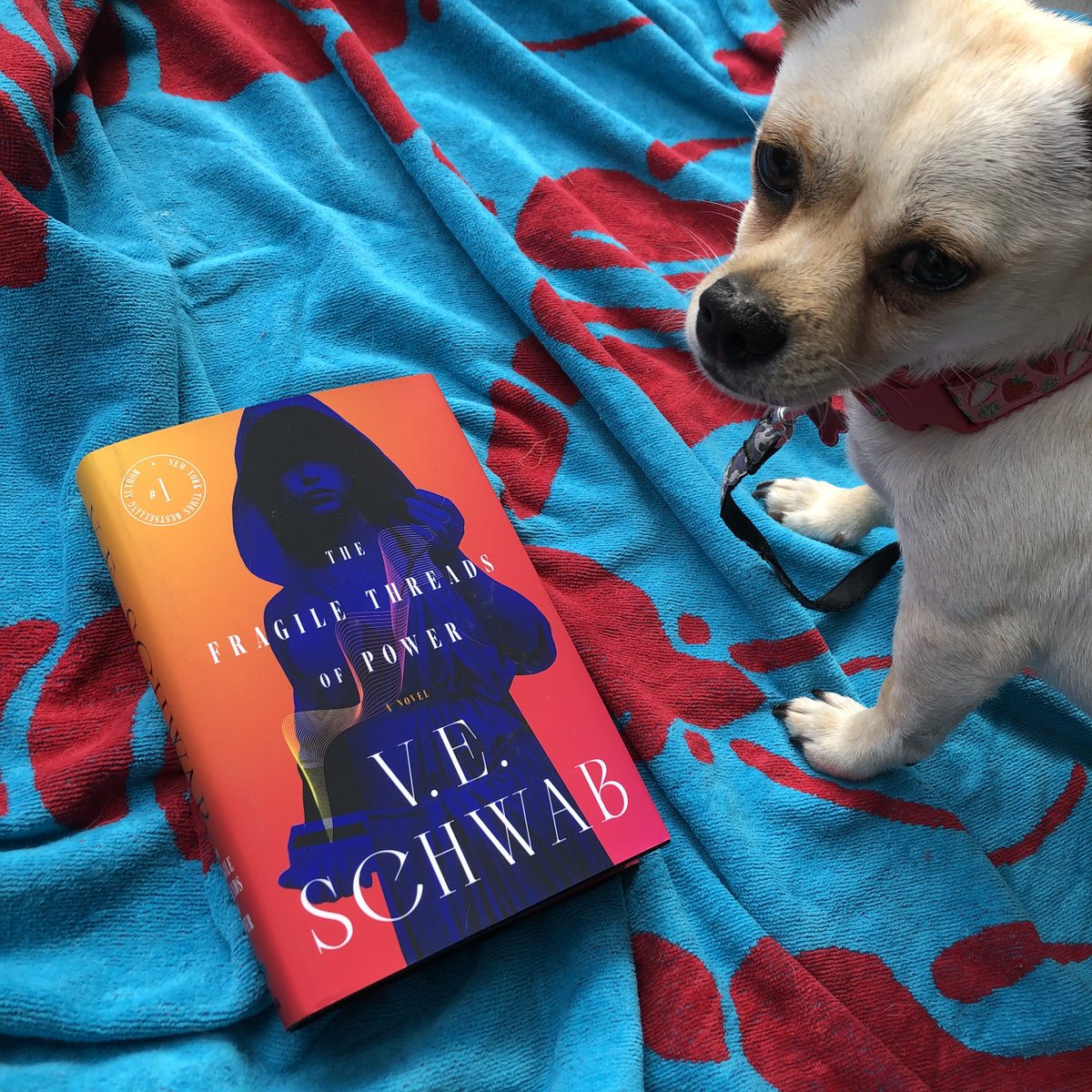 torbooks's tweet photo. It's Friday and we're so excited to celebrate #TheFragileThreadsofPower by @veschwab finally hitting our shelves that we're giving YOU the chance to win a copy! Just follow us, then like and retweet to enter our #sweepstakes. Best of luck, y'all!
#FragileThreadsSweeps https://t.co/MGXNoyjIcR