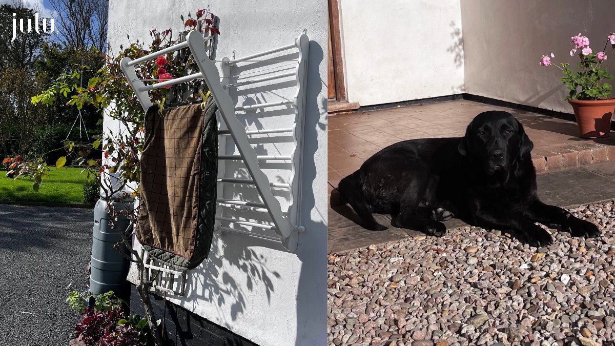 Multi tasking , pet bedding drying in the winter sun whilst Nickel and I enjoyed a lovely autumn walk . Using the pet wash bags to wash her bedding and keep the loose hairs in the bag to protect my washing machine is a must for me.
visit website for 15% discount use code-PET🐶🐾