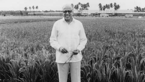IUCN mourns the passing of Dr Mankombu Sambasivan Swaminathan, the renowned Indian agricultural scientist who served as President of IUCN from 1984 to 1990.

bit.ly/46vkAOA