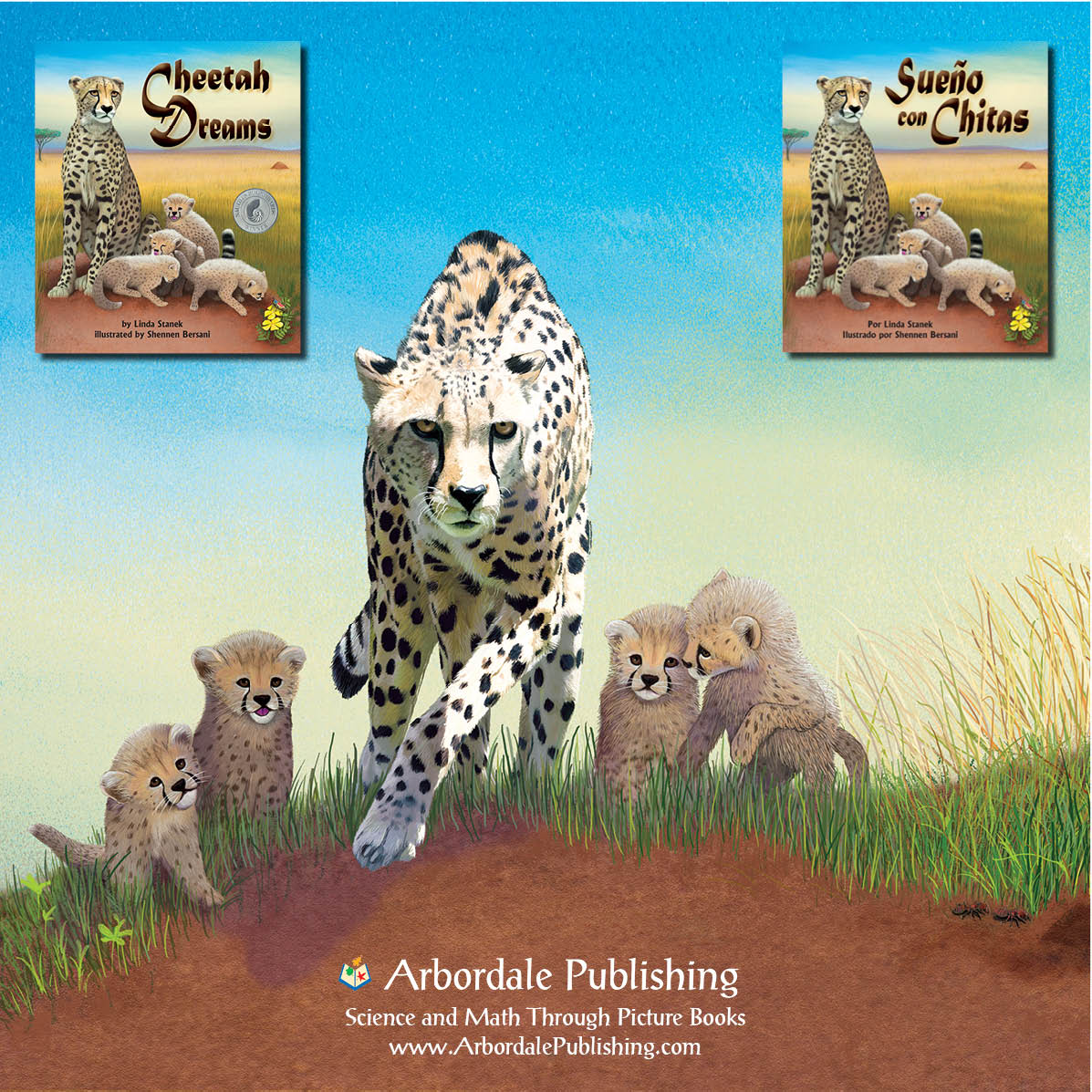 Fun Fact Friday! Did you know that #cheetahs cannot roar as other big cats can? They can chirp, however, and purr when they are happy!
Learn more interesting facts about cheetahs in Cheetah Dreams! 
bit.ly/2A5r2ze
#animals #science #nature

@LindaStanek @ShennenBersani