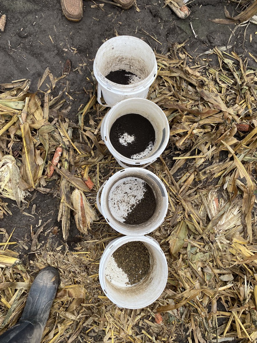 Connor Sible tweet media