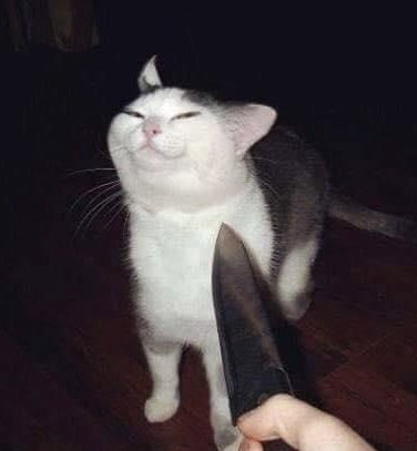 || i finally got around to it