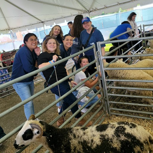 Virginia Health Information tweet media