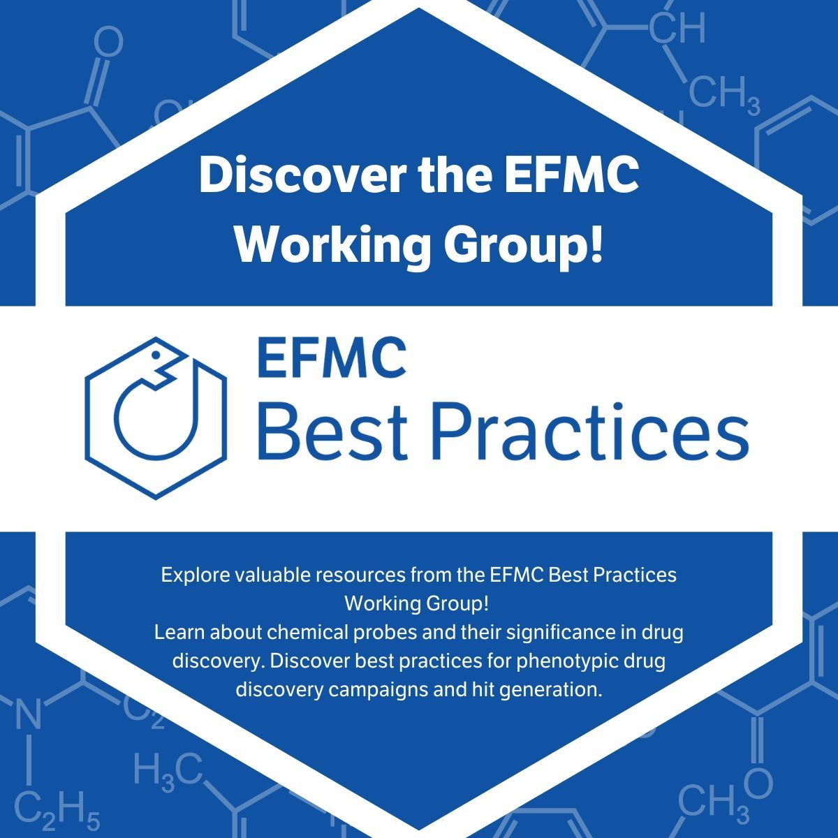 Join the EFMC Best Practices Working Group to learn about chemical probes, phenotypic drug discovery, and hit generation.

Access free webinars, articles, and slide decks for personal or educational use.

🔗 buff.ly/3PV0HuN