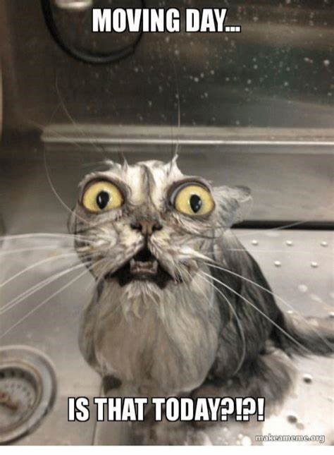 Our two largest clinics in Anchorage are swapping buildings today! Please check your appointment reminder to confirm your appointment location, and pardon our piles of boxes! Details here:  loom.ly/F49INgs