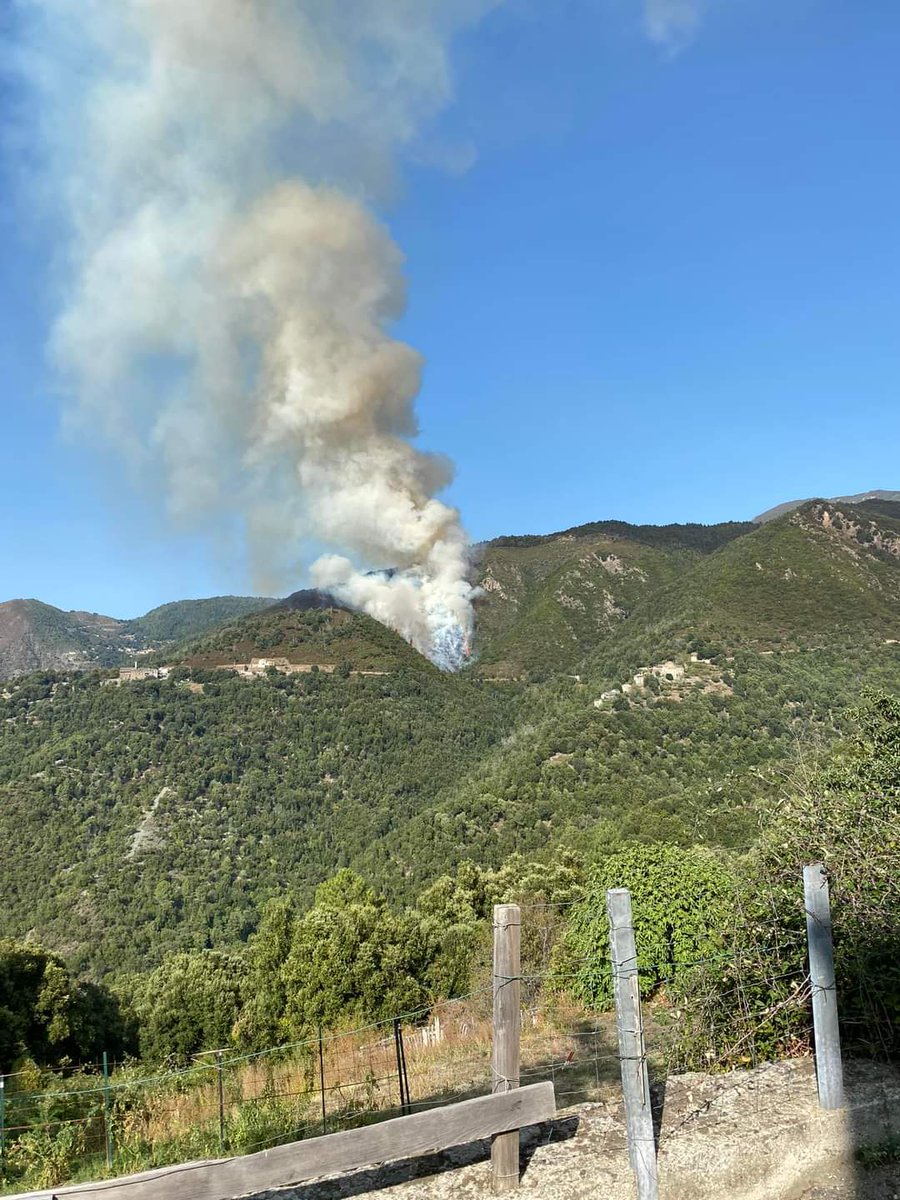 🔴 En direct 

🔥 Un feu de forêt est en cours sur la commune d'#Alzi [Haute-Corse-2B]

___

©️ Joe Derile

- Évitez le secteur. 

- Facilitez l’accès aux services de secours. 

⤵️ Suivis: 
feux.fr 

#incendie #FeuxDeForêt #GIFF #PSFDF #SIS2B