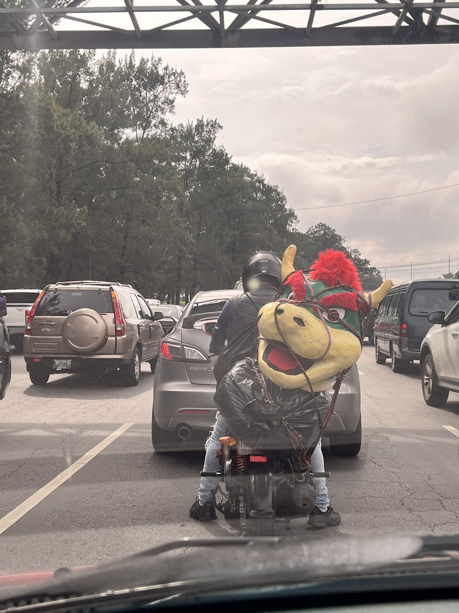 Adelaida Loukota tweet media