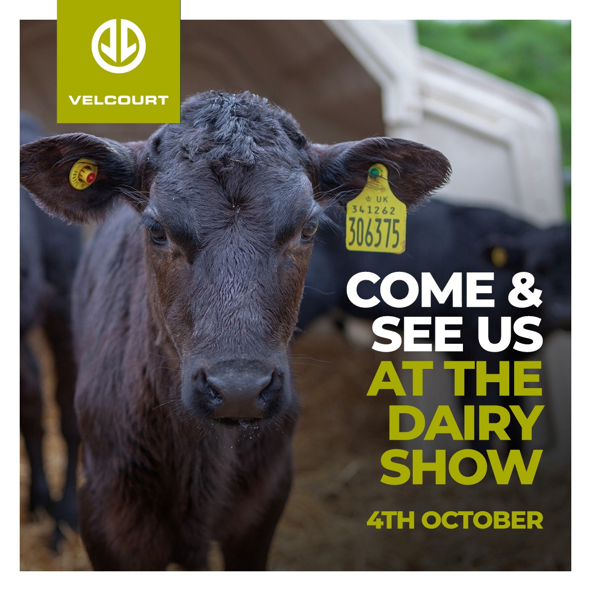Join our team at #Dairyshow, hosted by the <a href="/BathandWest/">Royal Bath and West</a>  on Wednesday 4th October, stand 84, avenue B.

We look forward to welcoming you to our stand and answering any dairy related questions you may have

#dairyfarming #farming #teamdairy