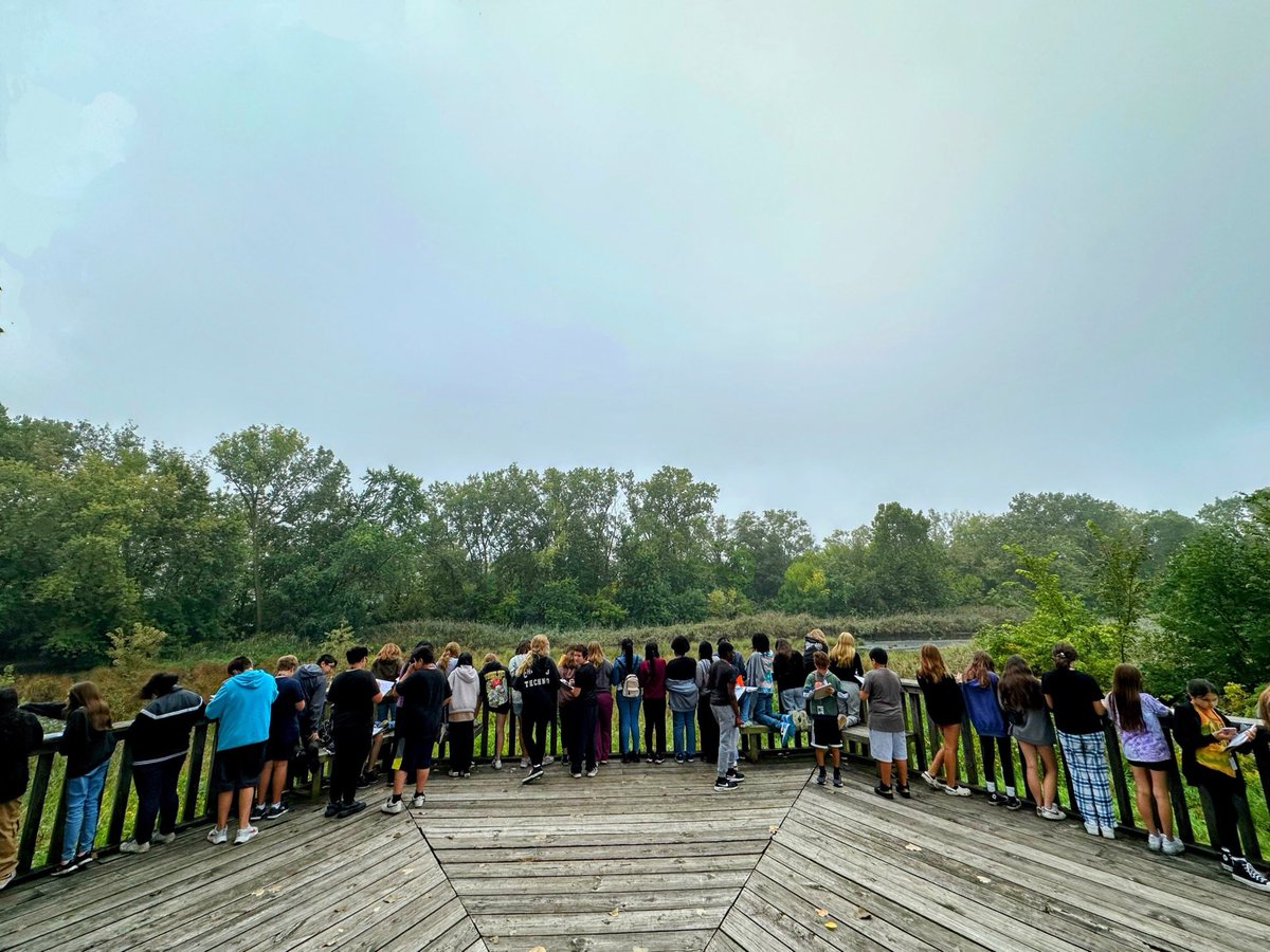 Joseph Macchia tweet media