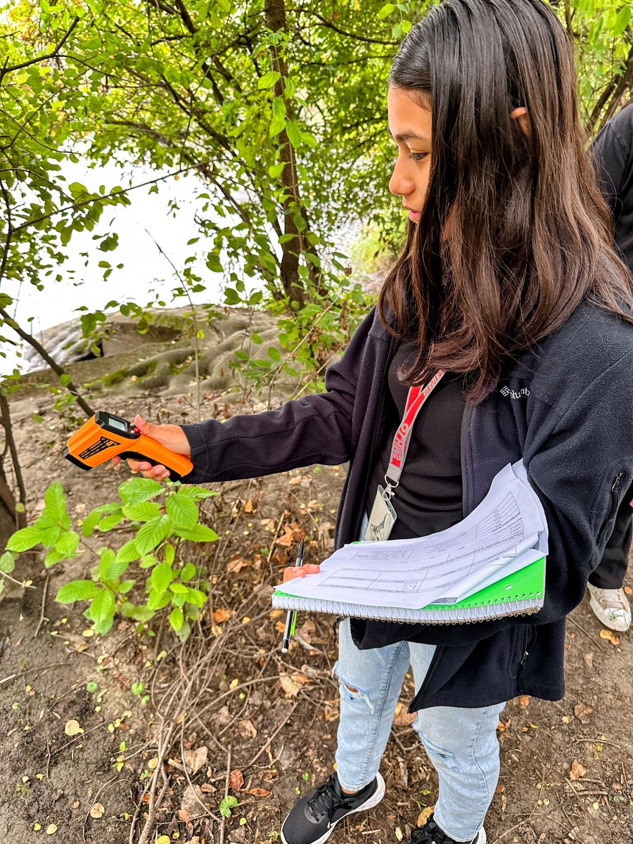 Joseph Macchia tweet media