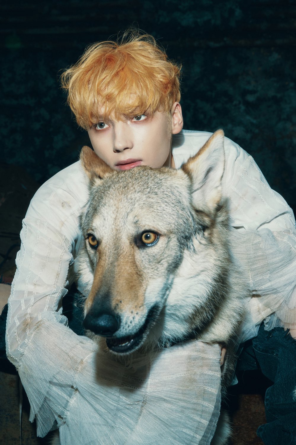 F7M7NfXagAAuqwA?format=jpg&name=large