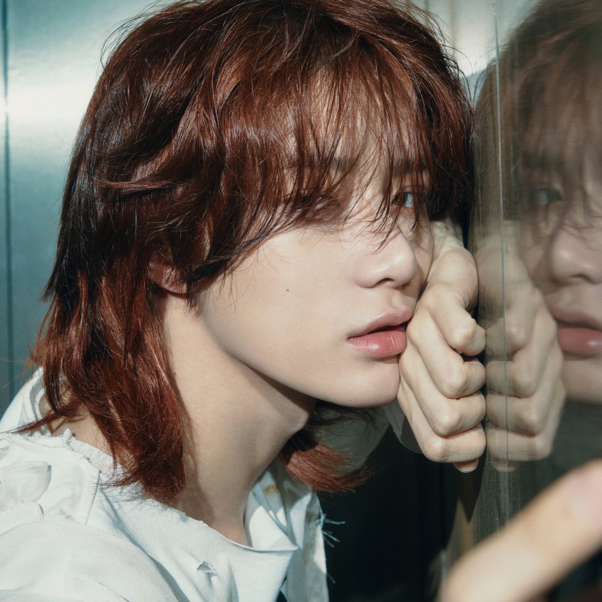 Gonji_0's tweet photo. 아기늑대소년이 너무 잘 커서 돌아옴… https://t.co/F0lYa3Oo97