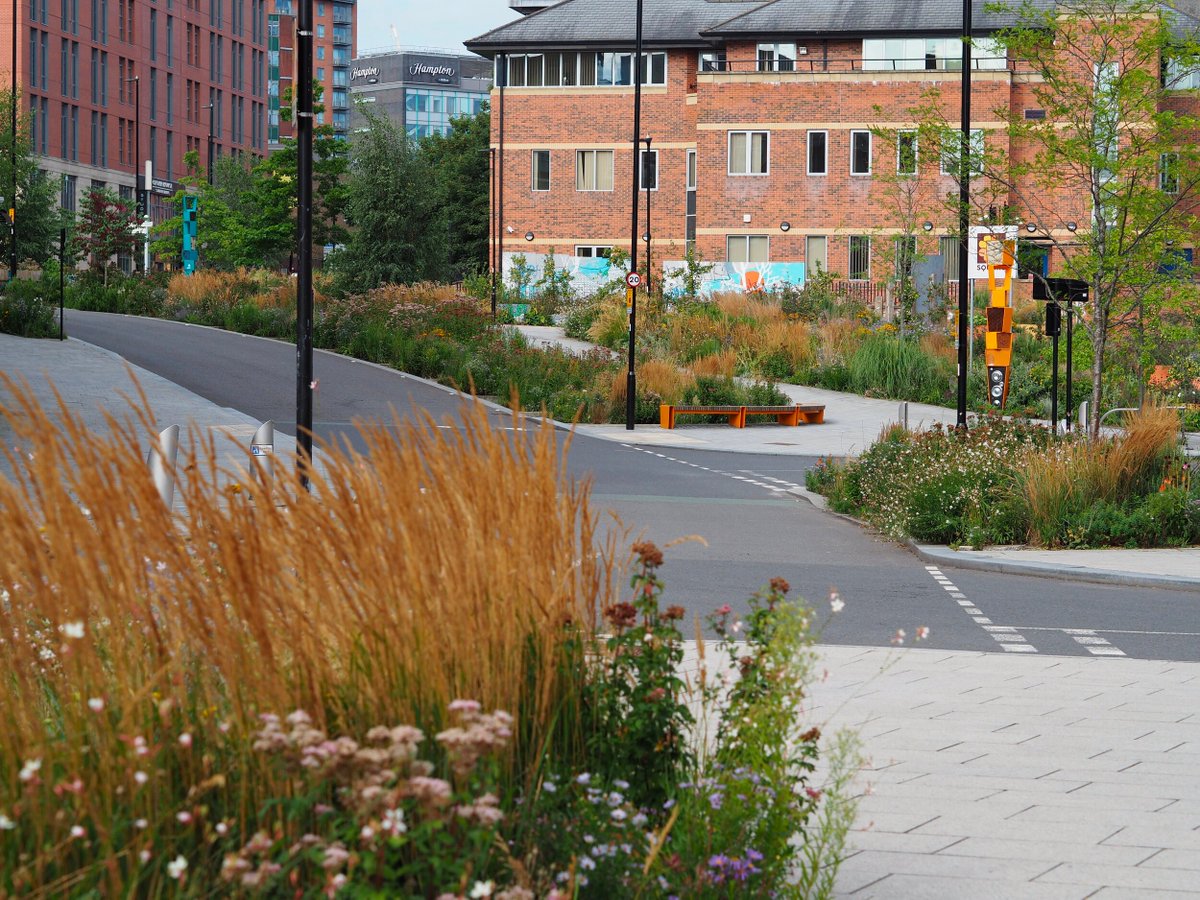 Sam Chapman tweet media