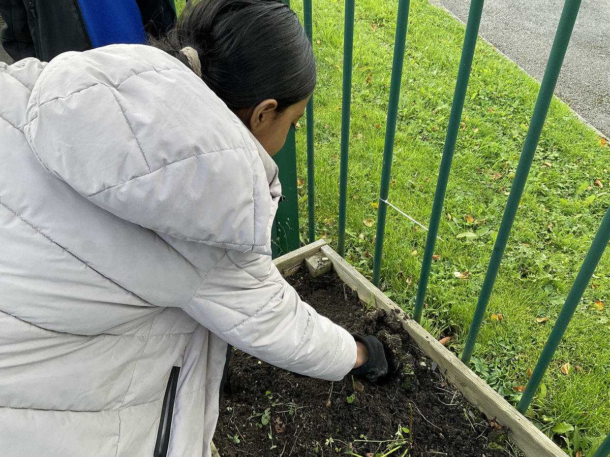 Greenhill_HT's tweet photo. The Eco Team have planted daffodil bulbs and the King's Coronation wild flower seeds ready for spring time colour.
#TheHarmonyPledge. #BeAnEcoWarrior https://t.co/zrdyHjgUqc
