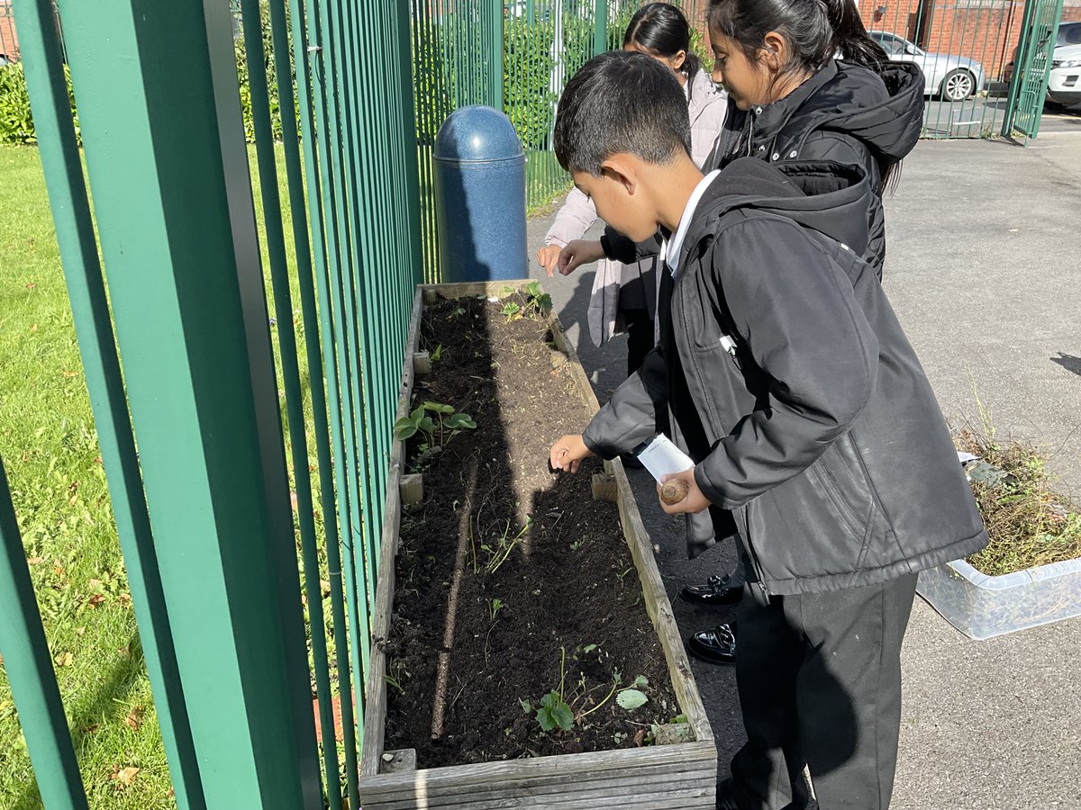 Greenhill_HT's tweet photo. The Eco Team have planted daffodil bulbs and the King's Coronation wild flower seeds ready for spring time colour.
#TheHarmonyPledge. #BeAnEcoWarrior https://t.co/zrdyHjgUqc