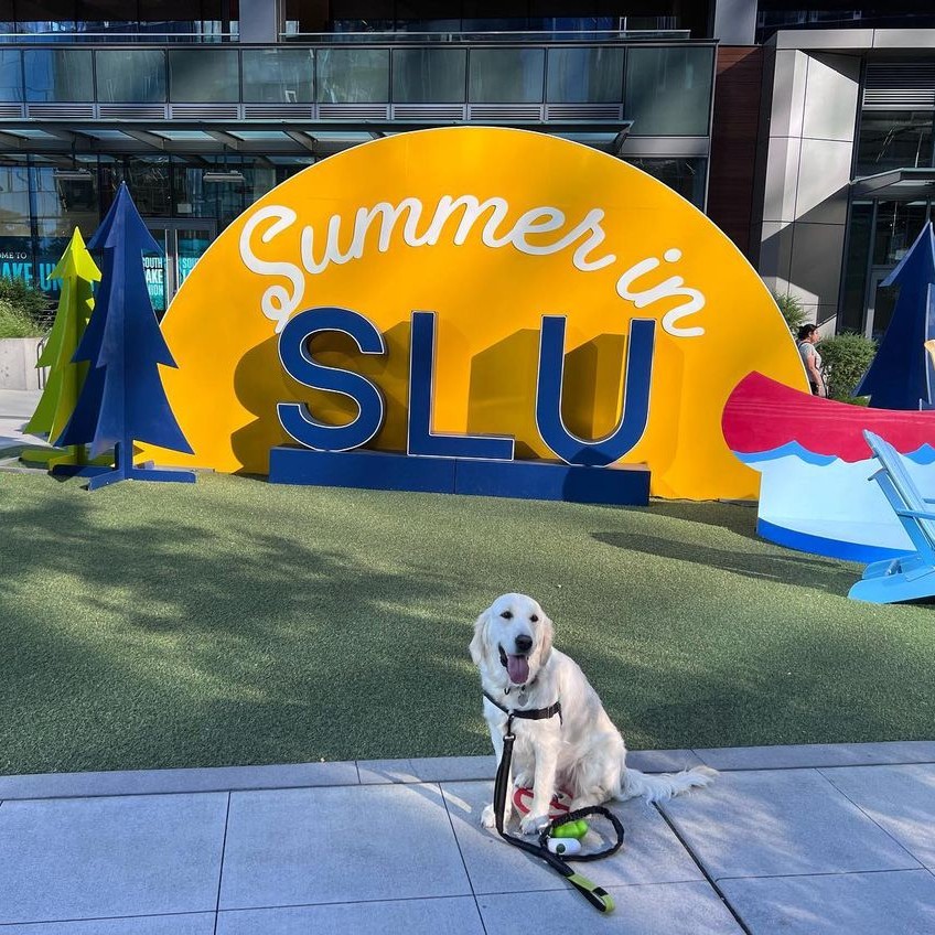 southlakeunion's tweet photo. The furry friends of SLU have been busy this Summer 🐶🐾
📷 credit on Instagram:
🦴 lilo_lovebug
🦴 casadecosmo
🦴 miss.poppy.girl
🦴 chikkishakerofficial
#DogsOfSLU #SouthLakeUnion https://t.co/BQwiwFKKh4