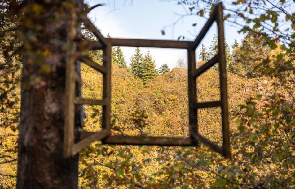 Does spending time in nature inspire you? Join us on October 5th for an early-evening Autumn experience at The Devil’s Glen in Co. Wicklow For more information and to book your free place visit eventbrite.ie/e/713584449297 @nativeevents_ #ForestsForPeople