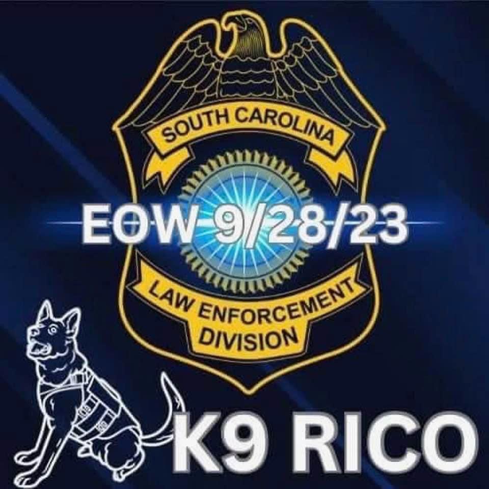 Charleston P.D. tweet media