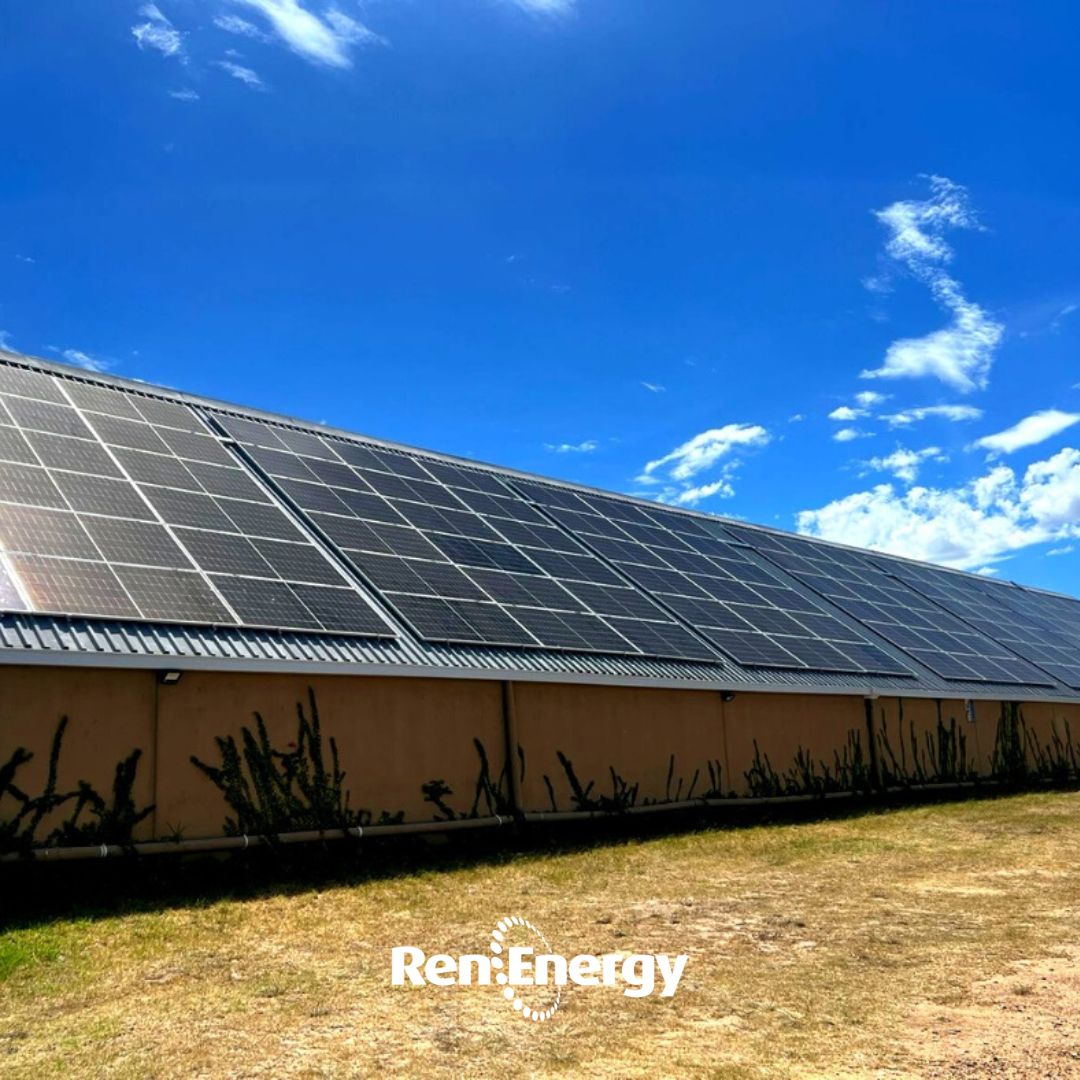 Longridge Wynlandgoed is harnessing the power of solar energy. RenEnergy designed and installed their solar PV system to continue their farming operations and wine production seamlessly even during a recent extended Eskom outage. 

#RenEnergy #LongridgeWynlandgoed