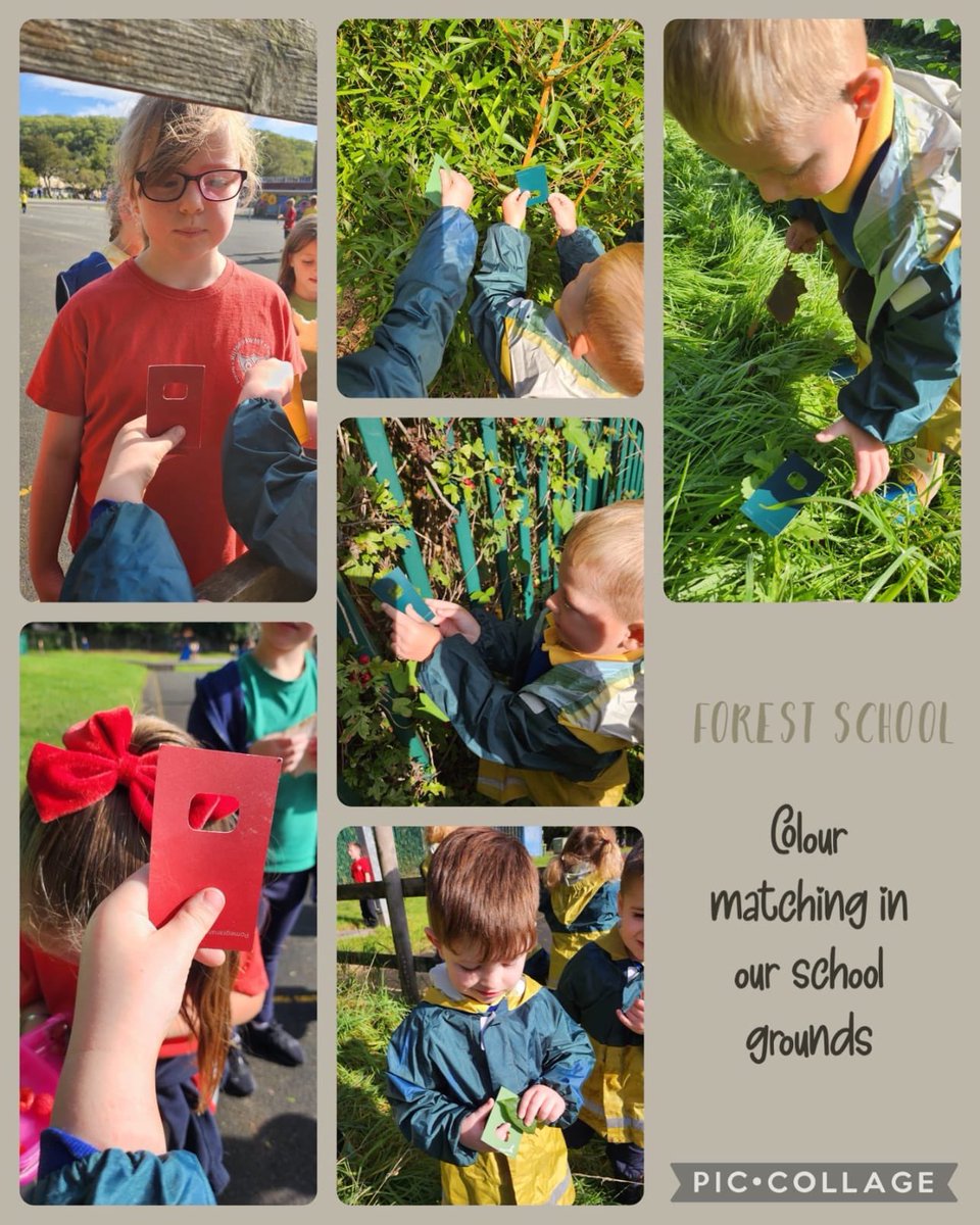 @MiltonPrimary17 Nursery explored our school grounds to match colour cards in our local environment. #healthyconfidentindividuals #forestschool #enterprisingcreativecontributors
#outdoorlearning