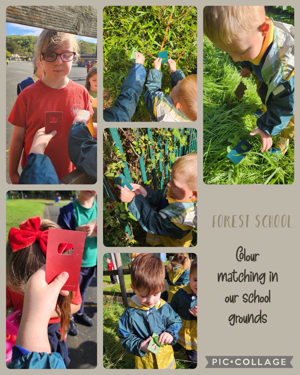 MrsMWells17's tweet photo. @MiltonPrimary17 Nursery explored our school grounds to match colour cards in our local environment. #healthyconfidentindividuals #forestschool #enterprisingcreativecontributors
#outdoorlearning https://t.co/T3uG8ACnLC