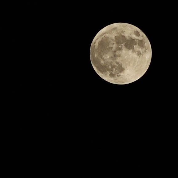 eri_citrus's tweet photo. #中秋の名月 自宅から撮影。まんまるだ〜🌕 https://t.co/ZGFn1gEUoR