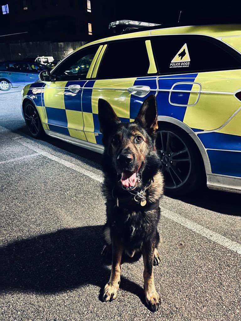 Hants & TVP Police Dog Section 🐾 tweet media