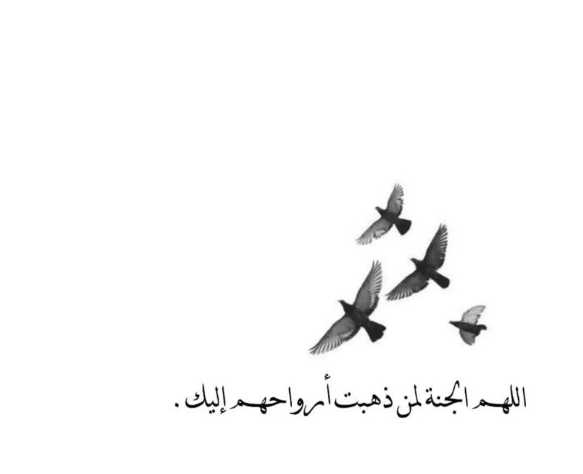 Noni_H_2838's tweet photo. اللهم اني اسألك في يوم الجمعة أن تنعم عليه من نعيم الجنة نعيمًا خالدًا لا يفنى و لا يزول ، و أن ت��تبه من الذين لا خوف عليه و لاهم يحزنون ، اللهم ارحمه و اغفر له و اجمعنا به في الجنة🍃🕊️
#يوم_الجمعة
#حمد_صالح_المرشود https://t.co/rVTmAHo1R9