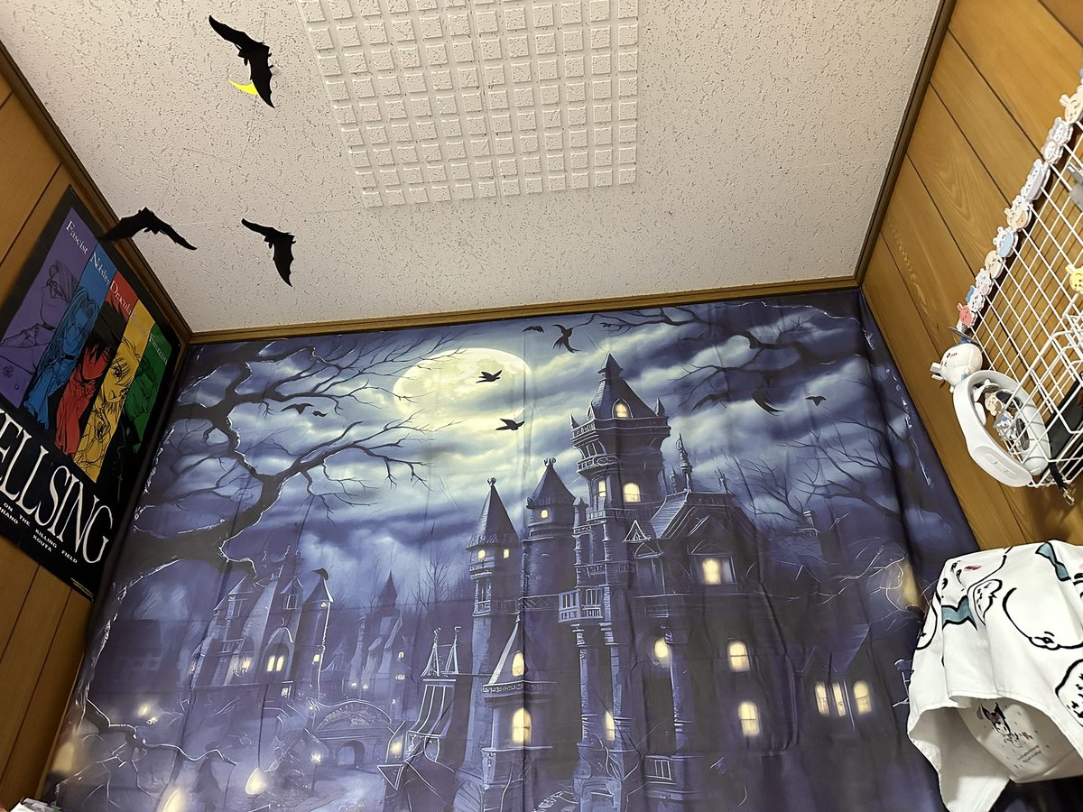 plusalpha_aru's tweet photo. 買った毛布が可愛過ぎてたまらない(◍ ´꒳` ◍) 
あーんど！部屋がハロウィンになりました、いぇいいぇい！！！ https://t.co/wsRCG0Vx8P