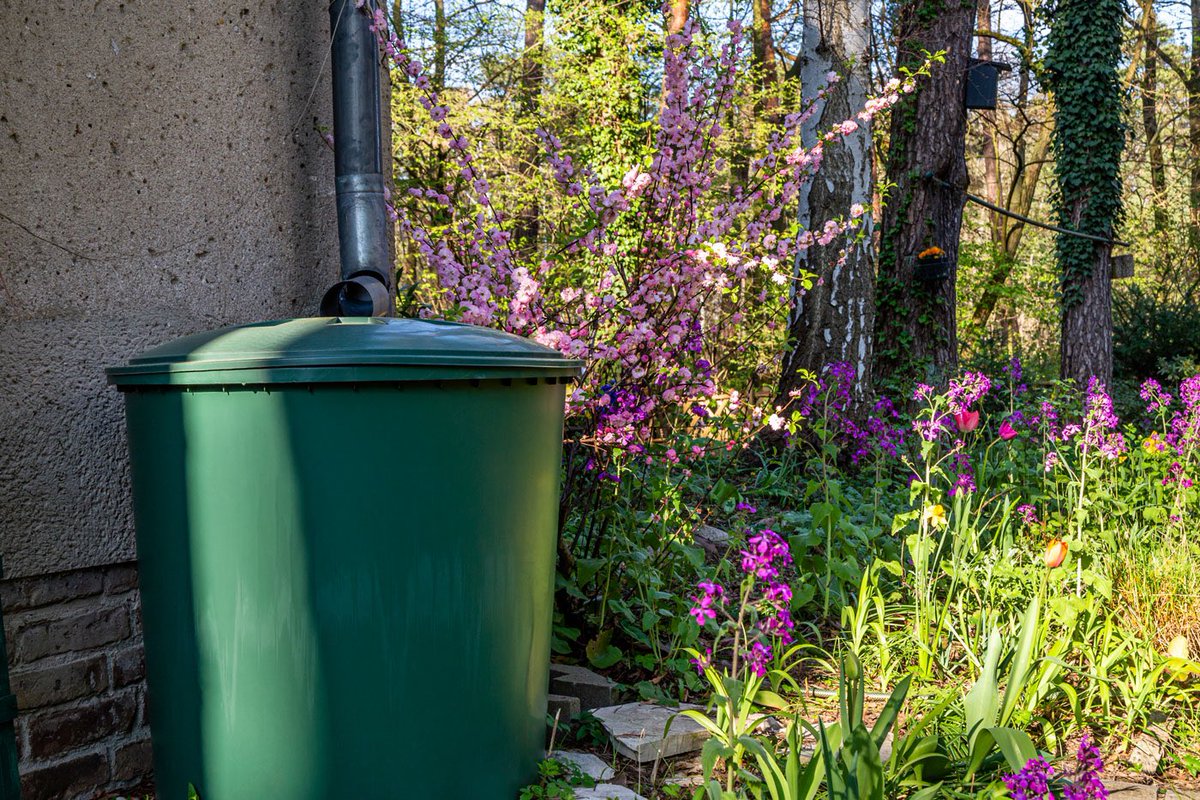 RWA_Berlin's tweet photo. Sendung verpasst? Den Videomitschnitt zu unserer Weiterbildung „Regenwasser nutzen mit System: Die Potenziale in Haus, Hof und Garten“ gibt‘s ab sofort hier: https://t.co/PcJLODyqaY @Regenexperte #regenwende https://t.co/aEKRKZJA6J