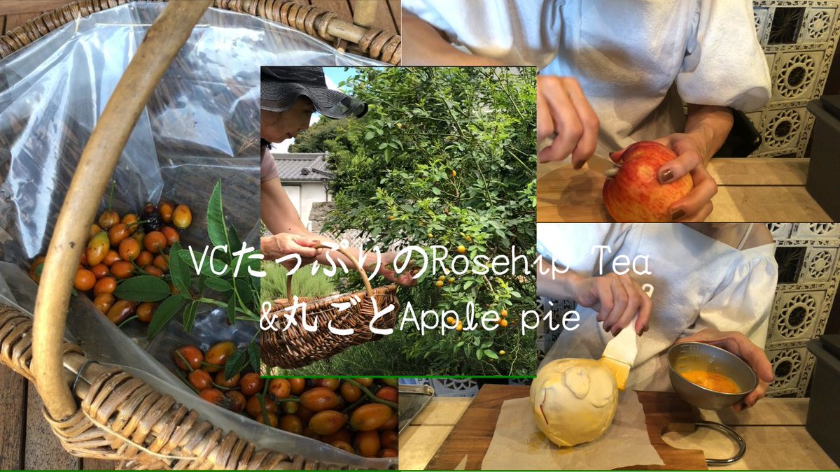 designworks_1's tweet photo. 庭のローズヒップを今年はドライフルーツメーカーで乾燥させてRosehip teaを入れたら少し酸味があって美味しかった☕ #ローズヒップティー #rosehiptea #applepie #アップルパイ https://t.co/QmoLQ6YuRh