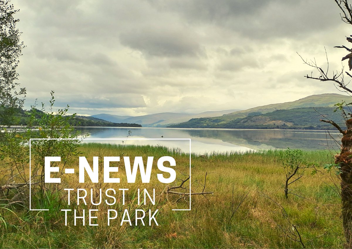 Trustinthepark's tweet photo. 🔥Hot off the Press - September E-news https://t.co/NwIZAmQQzY:

🥳#WalkinthePark celebrates!
🚴👩‍🦽🚶 Connecting Communities project.
🐾#InStepwithNature challenge.
🌳Nature Restoration; our inspiring visit to Torridon.
💙Welcome Grace to our Team.
💪Strength &amp; Balance
..and more. https://t.co/RWkmYFKdi5