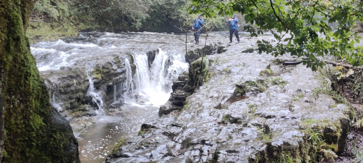 Fergus Bracken ⭐⭐⭐⭐⭐⭐ tweet media